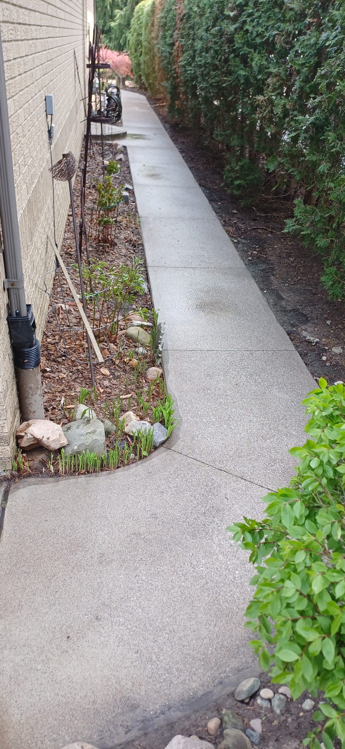 Surface after cleaning Windsor
