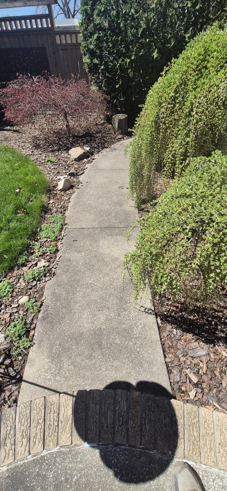 Driveway before washing Windsor